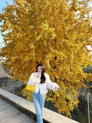 -FINE HAIR 烫染专业设计