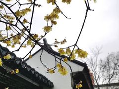 -江宁织造博物馆