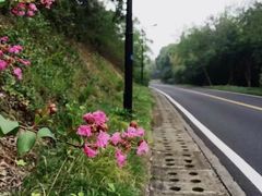 -宝界山林公园