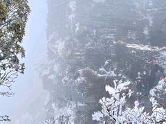 -梵净山旅游区