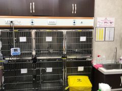 -宠爱国际动物医院·疑难骨科·心肾内科·皮肤科(太阳宫店)