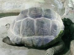 -太原动物园