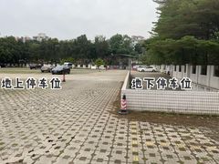 -华南植物园停车场