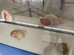 -紫薇公园