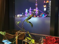 -RIVIERA 松鹤楼(外滩店)