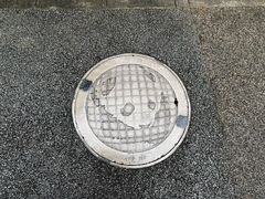 -都江堰中华大熊猫苑