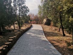 -白水寺森林公园