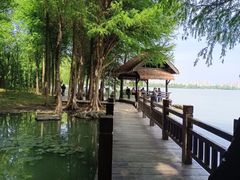-高子水居