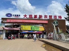 -大观篆新农贸市场