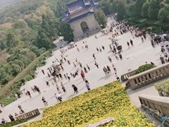 -紫金山山顶公园
