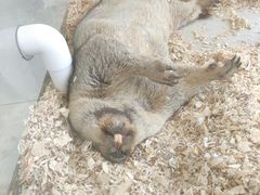 -怪兽屋·羊驼·猫咖·狗咖(俊华广场店)