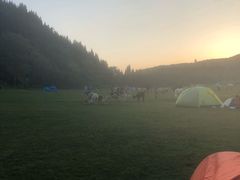 -武陵山森林公园