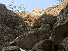 -终南山南五台景区