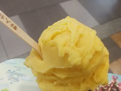 -野人先生现做冰淇淋(西安赛格店)