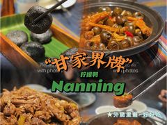 -甘家界牌柠檬鸭(青山店)