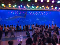 -烟台海昌鲸鲨海洋公园