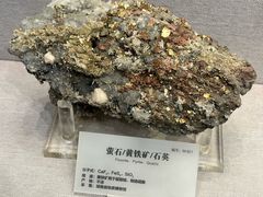 -湖南省地质博物馆