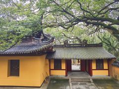 -普陀山风景名胜区-法雨禅寺