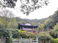 -十八棵（老龙井）御茶园(老龙井店)