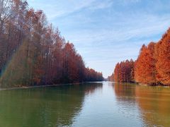 -上海海湾国家森林公园