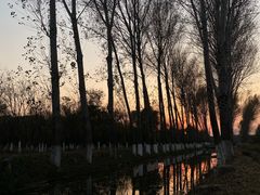 -东郊湿地公园