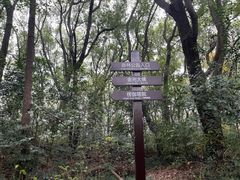 -苏州上方山国家森林公园
