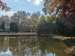 -上海共青森林公园