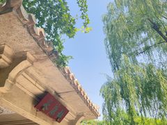 -泰山风景名胜区