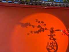 -大雁塔北广场音乐喷泉