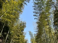 -黄公望隐居地
