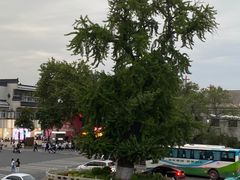 -扬州狮子楼·非遗淮扬菜(东关街店)