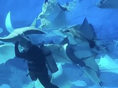 -烟台海昌鲸鲨海洋公园