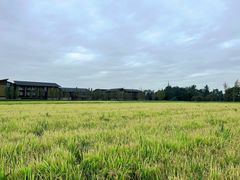 -中国天府农业博览园