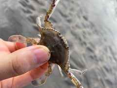 -南汇新城海滩