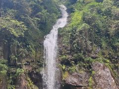 -龙苍沟森林公园