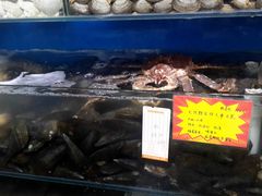 -蚝专家(北滘店)
