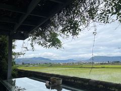 -喜林苑·稻田餐厅(品相府店)