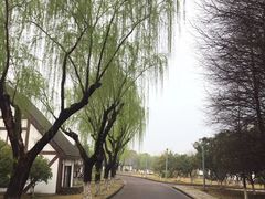 -太阳岛度假酒店