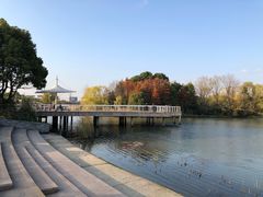 -新江湾城公园