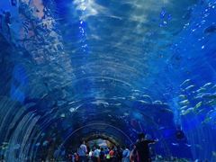 -华夏文旅海洋公园