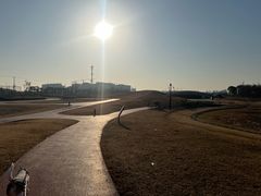 -春花秋色城市公园