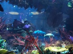 -迪拜帆船酒店海底餐厅