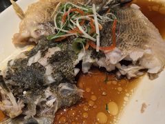 -梅龙镇酒家(南京西路总店)