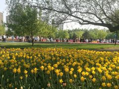 -长春公园(普阳街道)