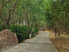 -北京张裕爱斐堡酒庄
