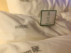 -上海虹桥西郊假日酒店