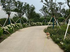 -圣露庄园·亲子活动乐园·露营·团建婚礼
