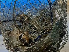 -桃源乐钓虾馆(松岗概念店)