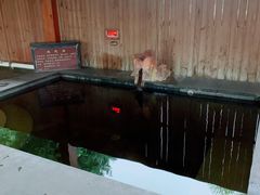 -福州贵安·温泉世界