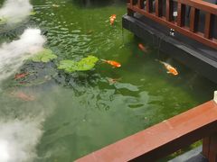 -濮园 · 四合院餐厅